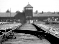 27. siječanj – Međunarodni dan sjećanja na žrtve holokausta