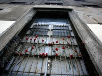 Atifašistička liga: 75 karanfila za žrtve holokausta na Trgu žrtava fašizma