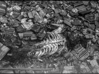 FOTO SENSE - Centar za tranzicijsku pravdu AHMIĆI - 48 hours of ashes and blood / SENSE - Transitional justice center