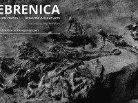 Srebrenica: genocid u osam činova / SENSE