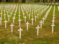 Povodom dvadesete obljetnice pada Vukovara i zločina u Škabrnji